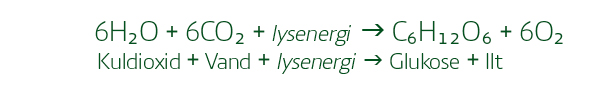 Formlen for processen fotosyntese