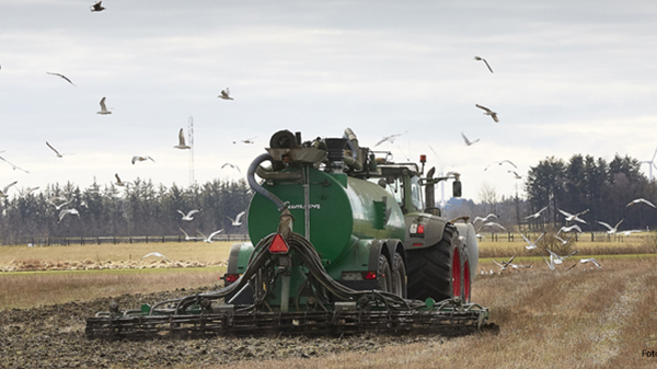 Næringsstoffer i det økologiske landbrug