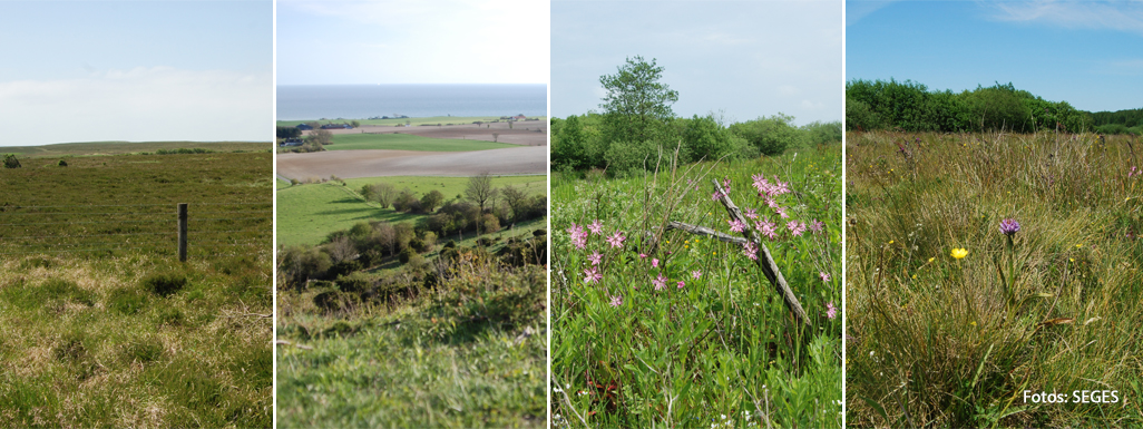 Forskellige biotoper